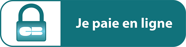 Logo Payement